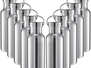 10 Pack 17oz Stainless Steel Sports Water Bottle Double Wall Insulated Bottle with Handle and Vacuum Seal Leakproof Lid for Cyclists Runners Hikers Beach Goers Picnics Camping Gift (Silver)