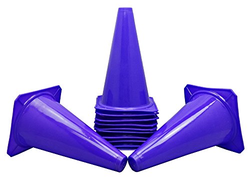 Bluedot Trading Agility Cones Bluedot Trading Agility Cones