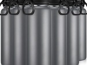 Raiten 6 Pack Insulated Stainless Steel Water Bottle