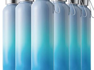 Claplante Glass Water Bottles